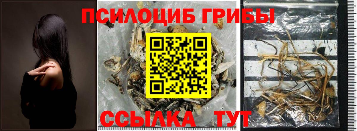 Псилоцибиновые грибы прущие грибы Саяногорск